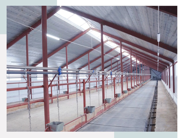 Строительство коровников в Реже от 657 руб.