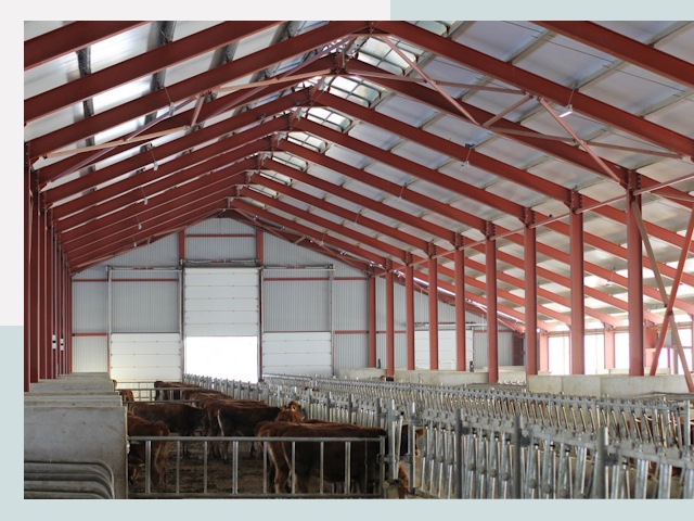 Строительство коровников в Реже