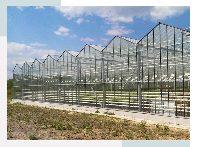 Строительство теплиц в Реж от 657 руб. за м²