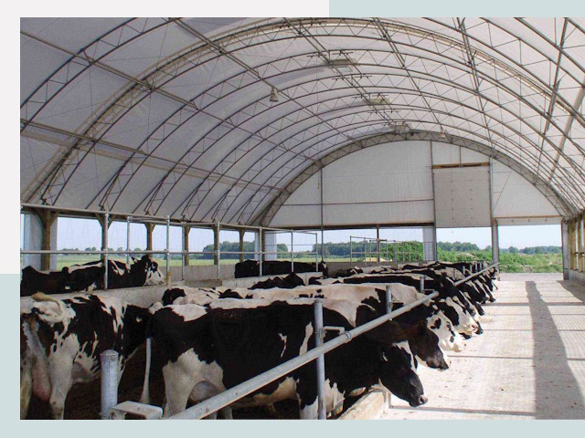 Тентовые коровники в Реже